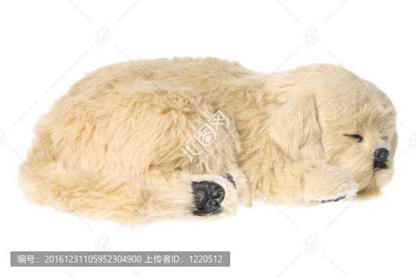 軟玩具狗