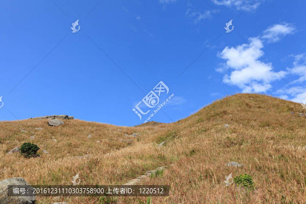 山區(qū)夏季景觀