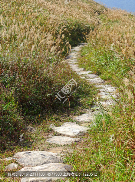 登山路線