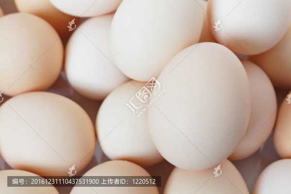 雞蛋