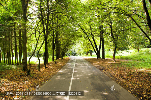 路木
