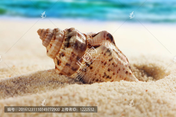 輕舟