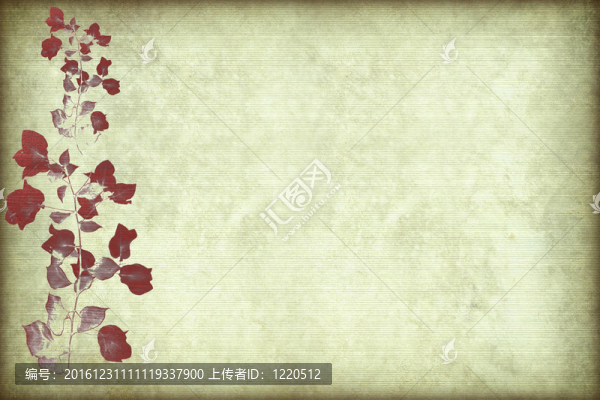 紅三角梅枝