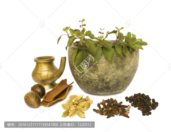 阿育吠陀自然健康