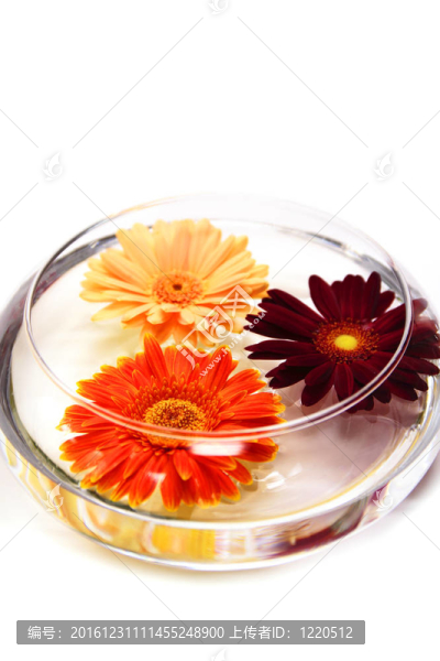 浮花