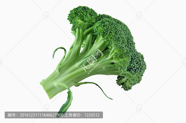鮮西蘭花