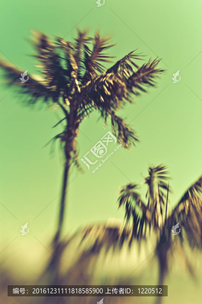 美麗的海島樂(lè)園