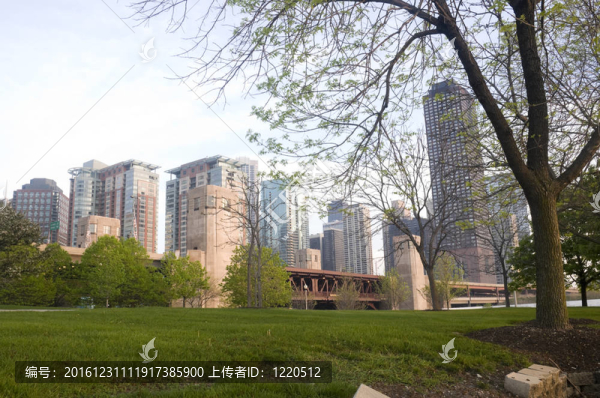 在芝加哥的公園