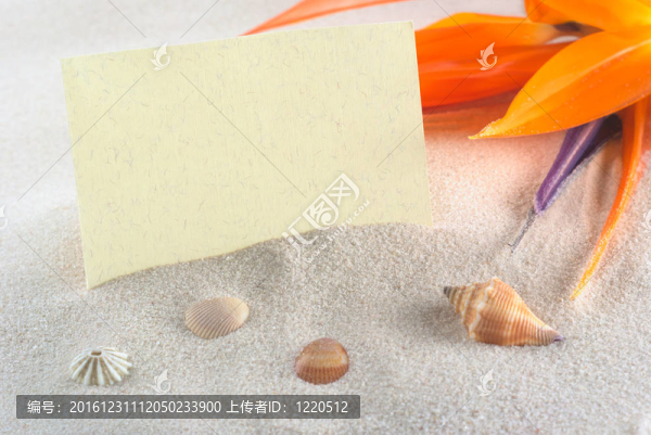 有一只天堂鳥花的空白卡（lat.,Strelitzia,reginae）在沙子和貝殼（選擇性聚焦；卡