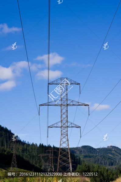 輸電線路和桿塔貫穿森林