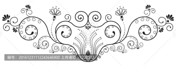 花卉元素上的白色。vegnette華麗。