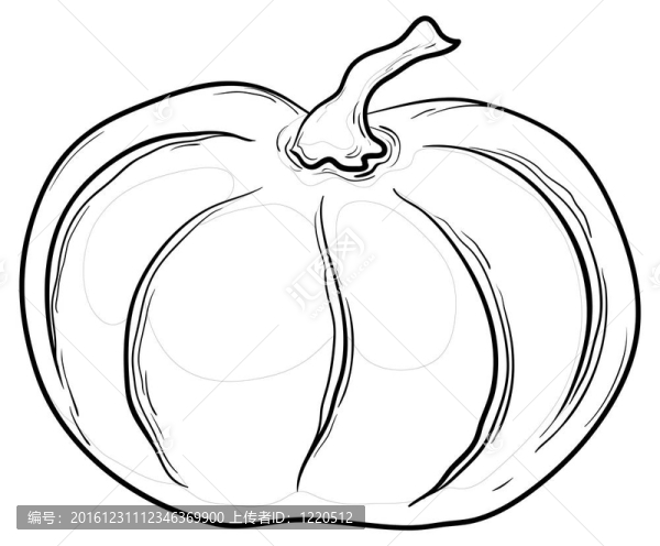 南瓜；輪廓