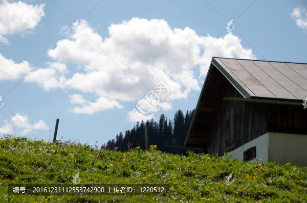 高山牧場