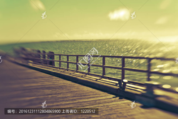 美麗的海島樂園