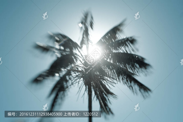 美麗的海島樂園