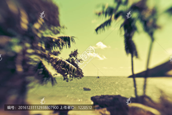 美麗的海島樂園