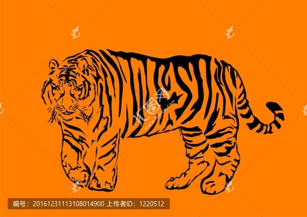 孟加拉虎