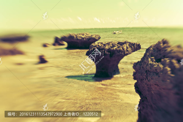 美麗的海島樂園
