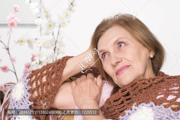 美麗的老婦人