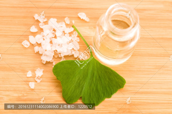 鮮葉銀杏葉精油和海鹽美TR