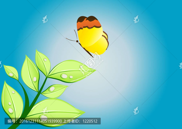 夏季