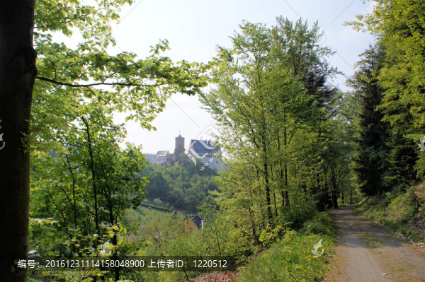 城堡沙爾芬斯坦