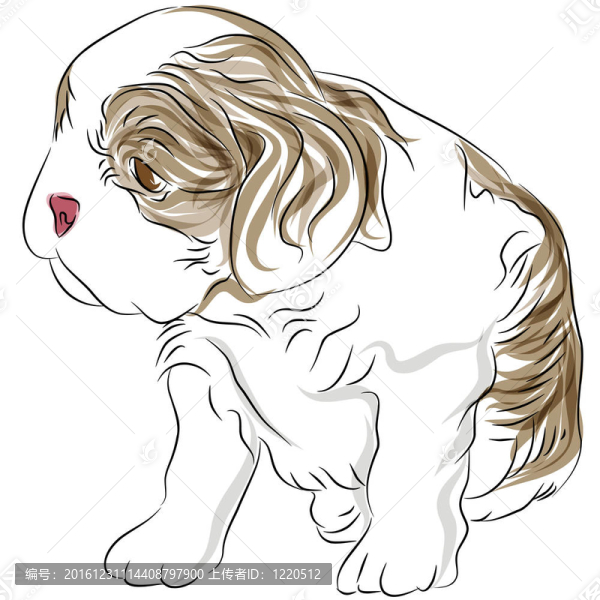 查爾斯王小獵犬小狗圖