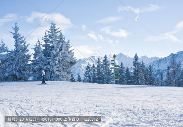 滑雪勝地施拉德明。奧地利