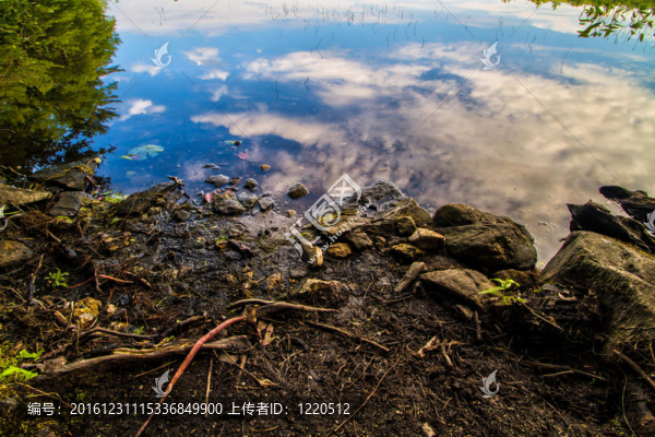 湖岸的特寫