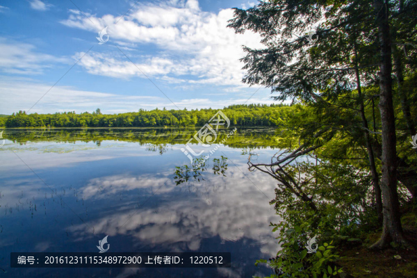 森林湖