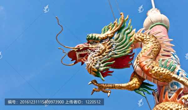 龍