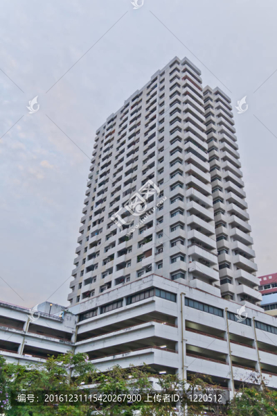 白色的建筑