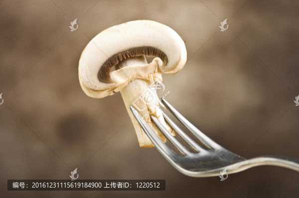 香菇蘑菇和白色背景的沙拉
