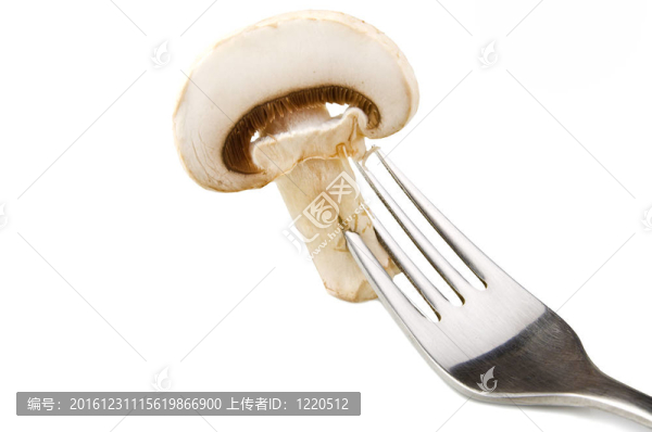 香菇蘑菇和白色背景的沙拉