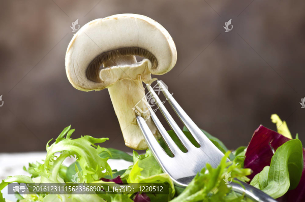 香菇蘑菇和白色背景的沙拉