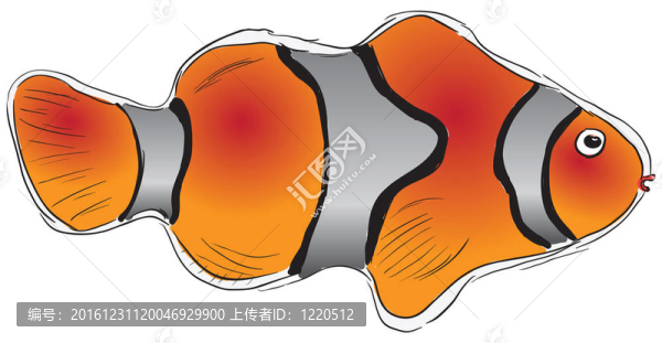 異國(guó)情調(diào)的魚(yú)