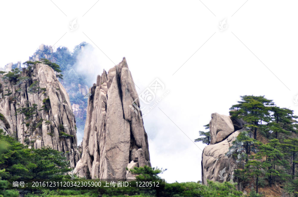 在早晨的霧落基山脈