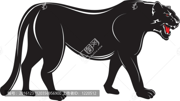 黑豹