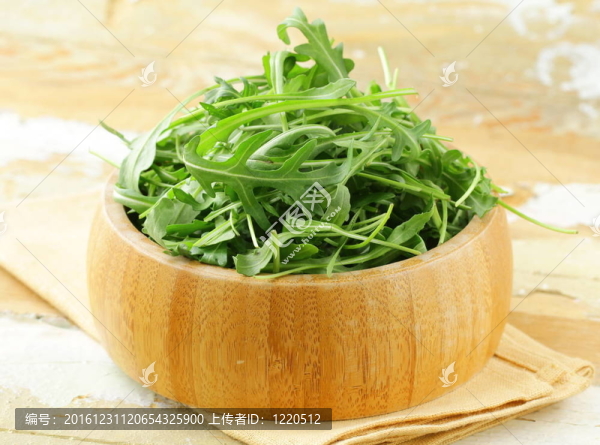 綠色天然芝麻菜碗；