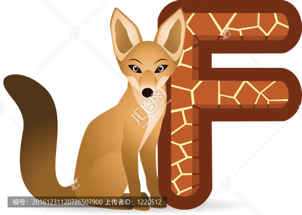 字母F的狐貍