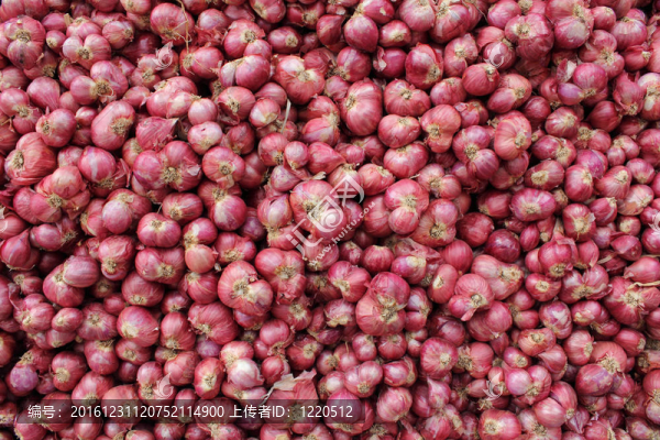 紅洋蔥的數(shù)量