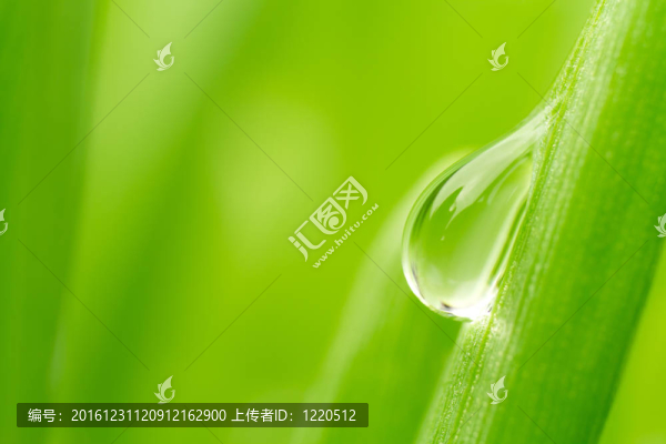 一滴水