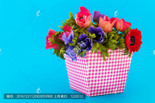 花束的?？谒{(lán)色的背景