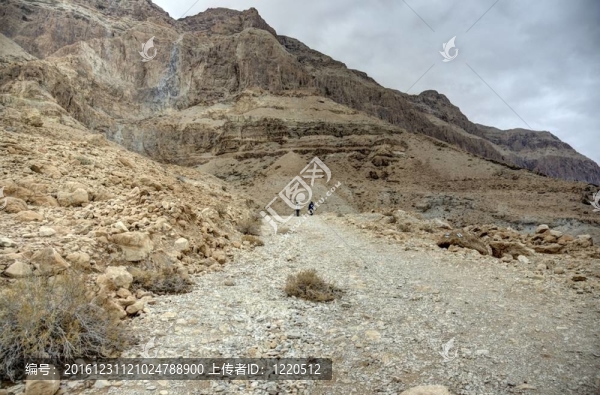 朱迪亞沙漠死海附近的健康在以色列徒步旅行