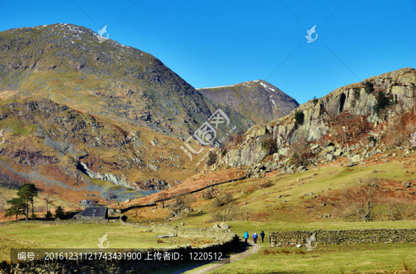 在鄉(xiāng)村景觀的旅行者