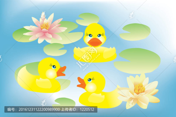 小鴨子在蓮花湖游泳