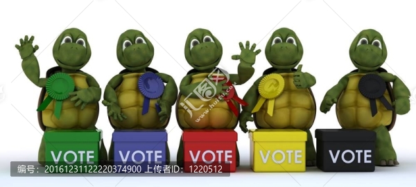 烏龜?shù)倪x票在選舉拉票助選