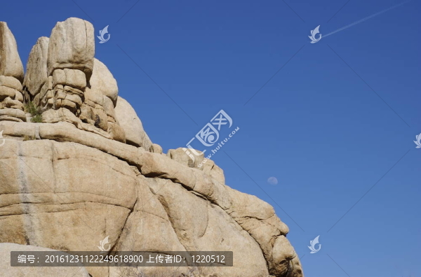 巖層（Joshua,Tree）