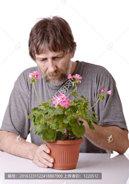 男人關(guān)懷盆栽花卉