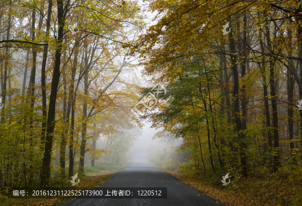 秋林路